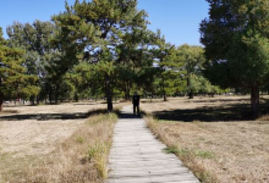 隆化土城子城址景点图片