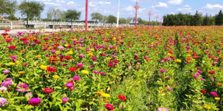 濱水新城珍稀植物園