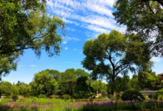 万柳公园景点图片