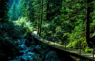 天然氧吧的冷藏模式~18℃