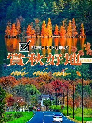 湖州小众赏秋好地分享|这些地方美炸了