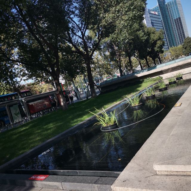 滨江大道旅行图片 1