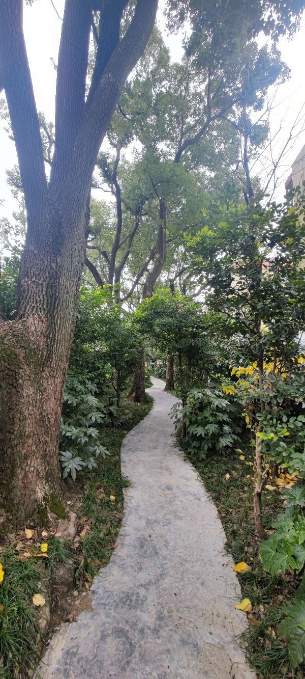 东安公园旅行图片 5