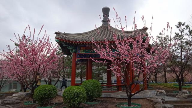地坛公园旅行图片 5