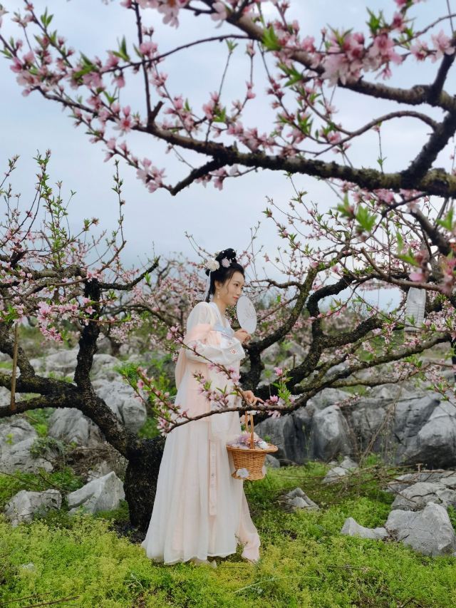 下廊村桃花溪风景区旅行图片 4