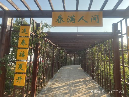 滨江月季园
