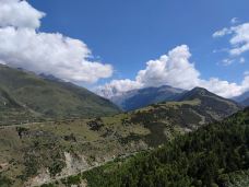 猫鼻梁-小金-微微一行