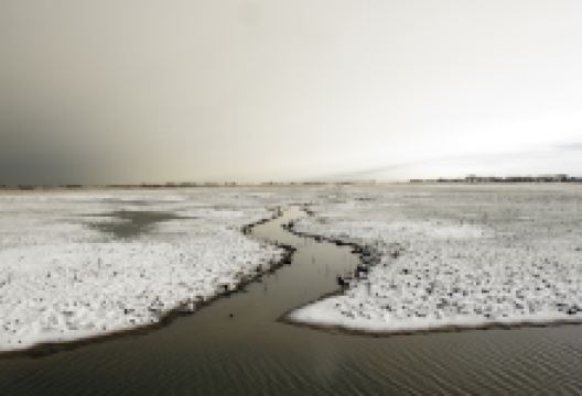 RSPB Marshside景点图片