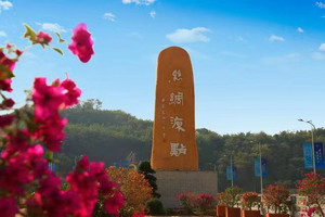 高坪区游记图文-丝绸之乡——南充高坪区游记