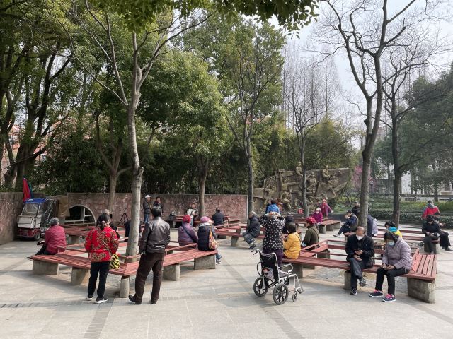 梅园公园旅行图片 6