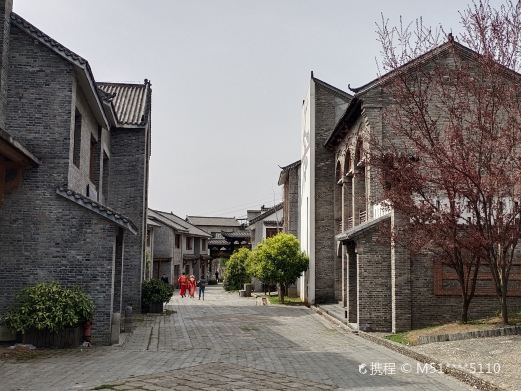 樱桃小镇
