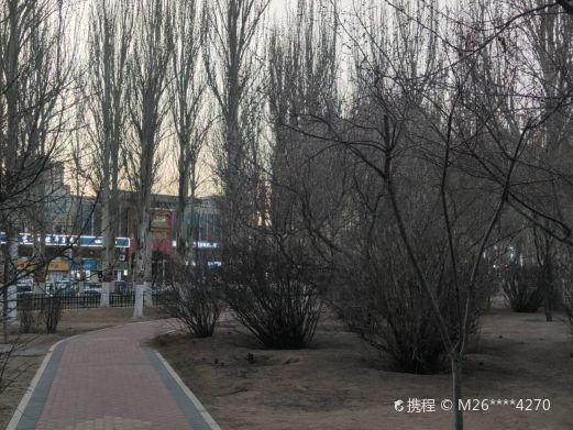八一公园