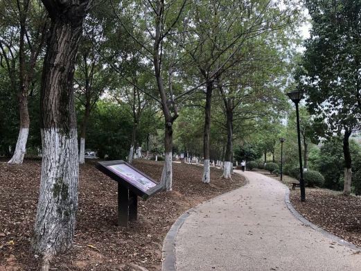 月湖区鹰潭滨江公园