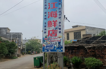 Gallery 4