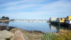 老渔人码头-蒙特雷