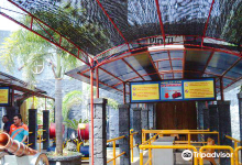 Wisata Bahari Lamongan景点图片