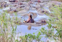 Peacemakers Expedition & Safari景点图片