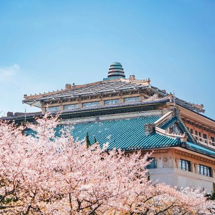 武汉+古德寺+武汉长江大桥+黄鹤楼+辛亥革命博物院(北区)+武汉观光游船(中华路1号码头)+武汉大学+湖北省博物馆+东湖游船4日3晚私家团