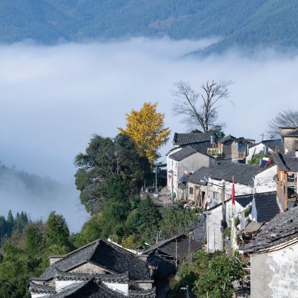 安徽黄山2日1晚跟团游