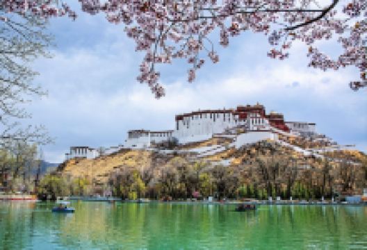 宗角禄康公园景点图片