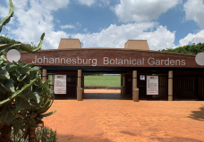 约翰内斯堡植物园-兰德堡