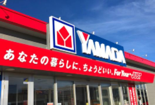 山田电机（Tecc Land 宫古岛店）购物图片