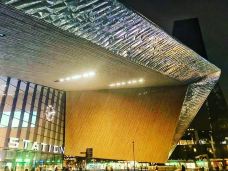 鹿特丹中央车站-鹿特丹-翱翔的大鲨鱼