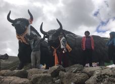 色季拉山-林芝-陌染MM