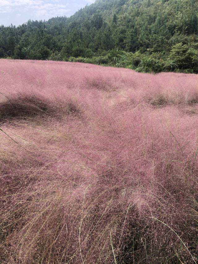 神泉谷景区旅行图片 3