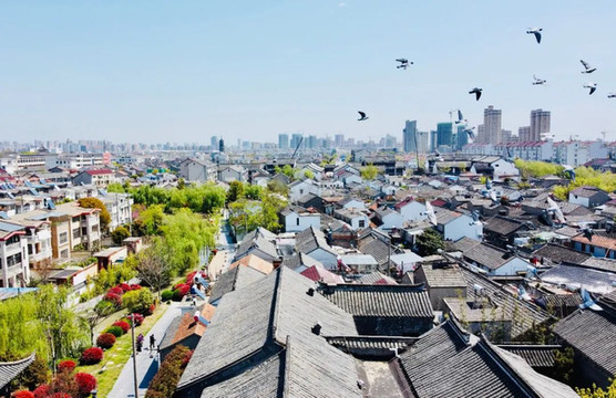 高邮小城 | 访寻汪曾祺笔下的烟火气