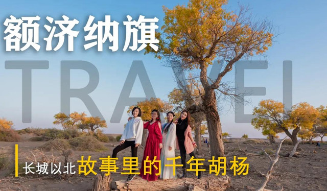 西北偏北,胡杨最美