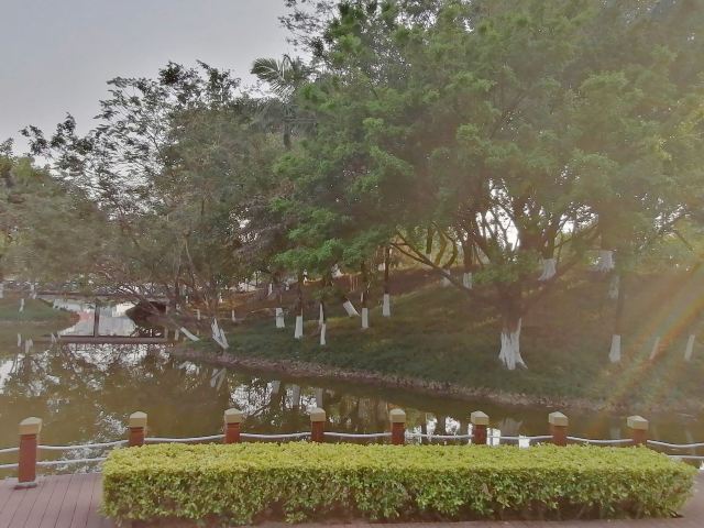 北滘公园旅行图片 4
