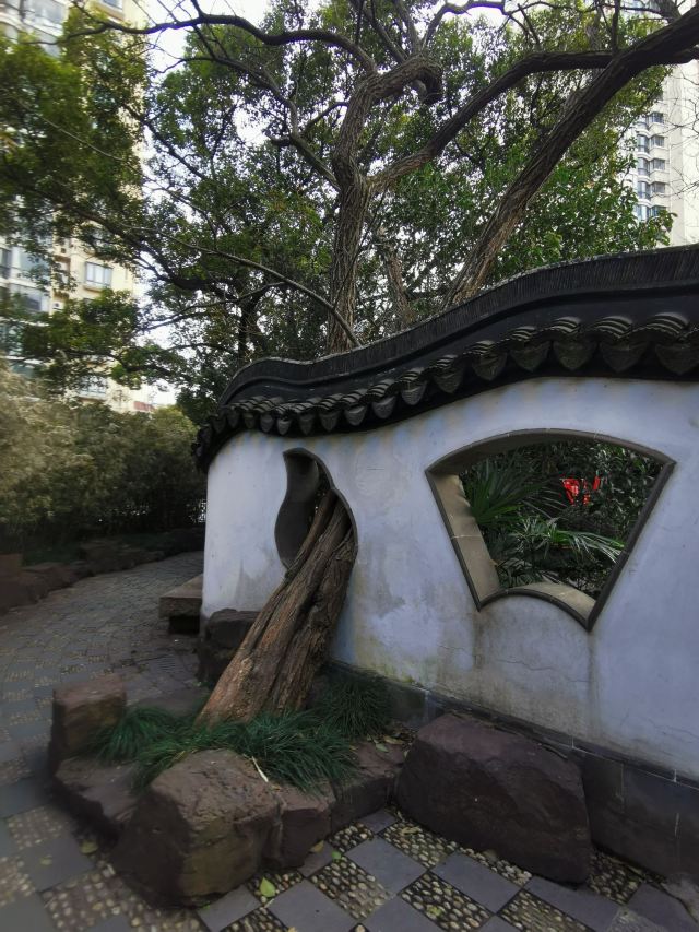 蓬莱公园旅行图片 8