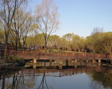 海淀公园-北京-萨拉热窝的夏雨荷