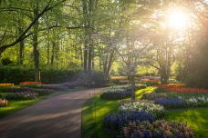 库肯霍夫公园-利瑟