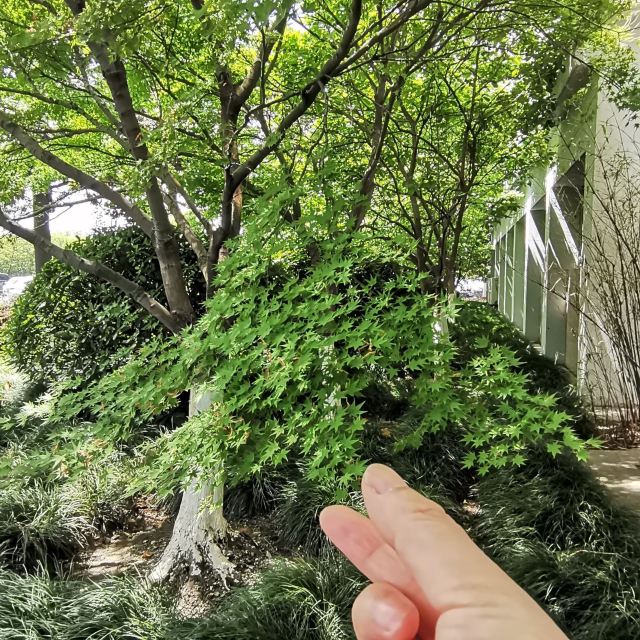 长春国际汽车公园旅行图片 3