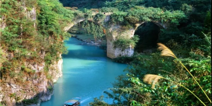 花溪公園-百步橋