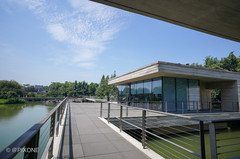 乌镇游记图片] 这个暑假去【乌镇】，从白天嗨到深夜！