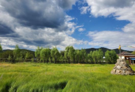 大草原骑马场景点图片
