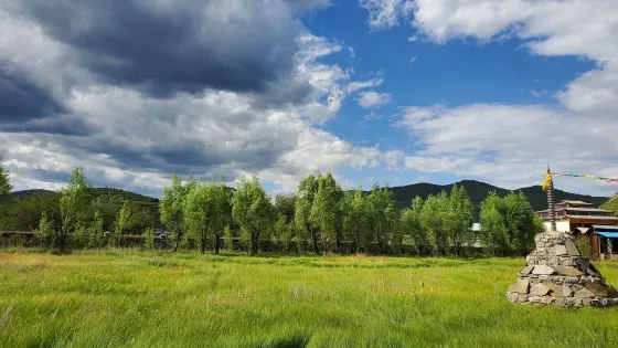 大草原騎馬場