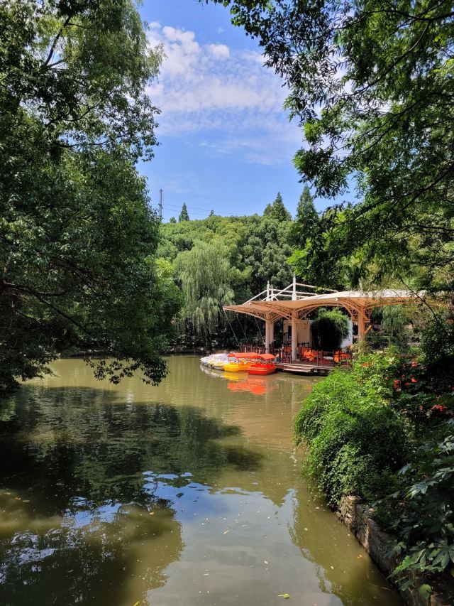 杨浦公园旅行图片 12