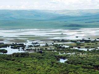 云游四海（1513）黑蒙行之十三——根河湿地
