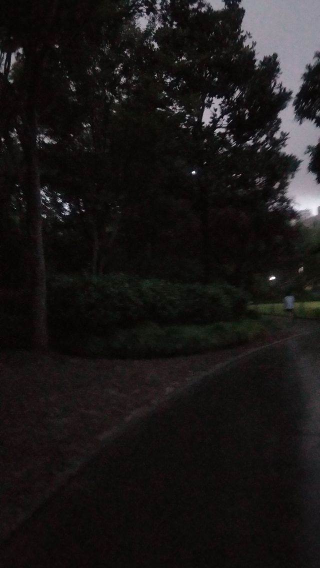 漕溪公园旅行图片 1