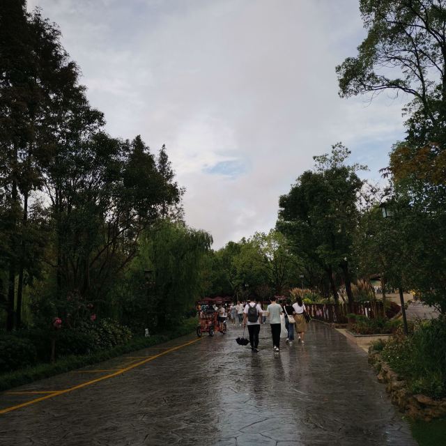 金桥公园旅行图片 2