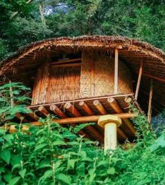 望谟游记图文-乡游黔中·望谟县 新屯村 │ 桂花飘香时，走进“布依说唱艺术之乡”