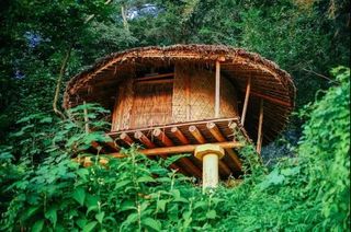 乡游黔中·望谟县 新屯村 │ 桂花飘香时，走进“布依说唱艺术之乡”