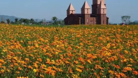 安徽省桐城市花間塘鄉村旅遊風情區