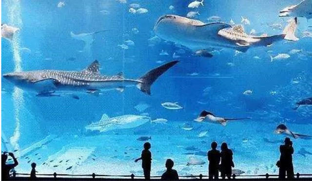 浩海立方-海滨城一日游