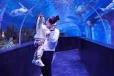 海滨城浩海立方海洋公园-成都-C-IMAGE