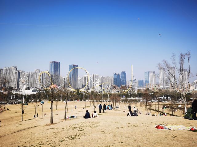 巢湖湿地旅行图片 3
